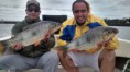 /album/fotogaleria-excursiones-de-pesca-en-concordia2/a10625094-707917462644624-5146368264750141493-n-jpg/
