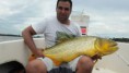 /album/guia-de-pesca-en-concordia1/a15826175-10210810311641392-2269916184678294171-n-jpg/
